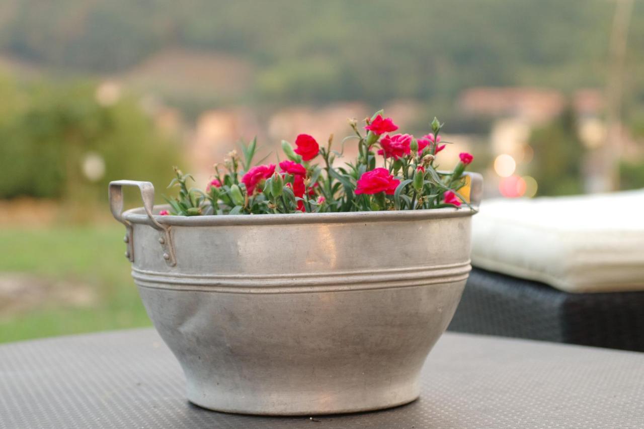 Beb Montefratta Bed & Breakfast Fratta Terme Luaran gambar