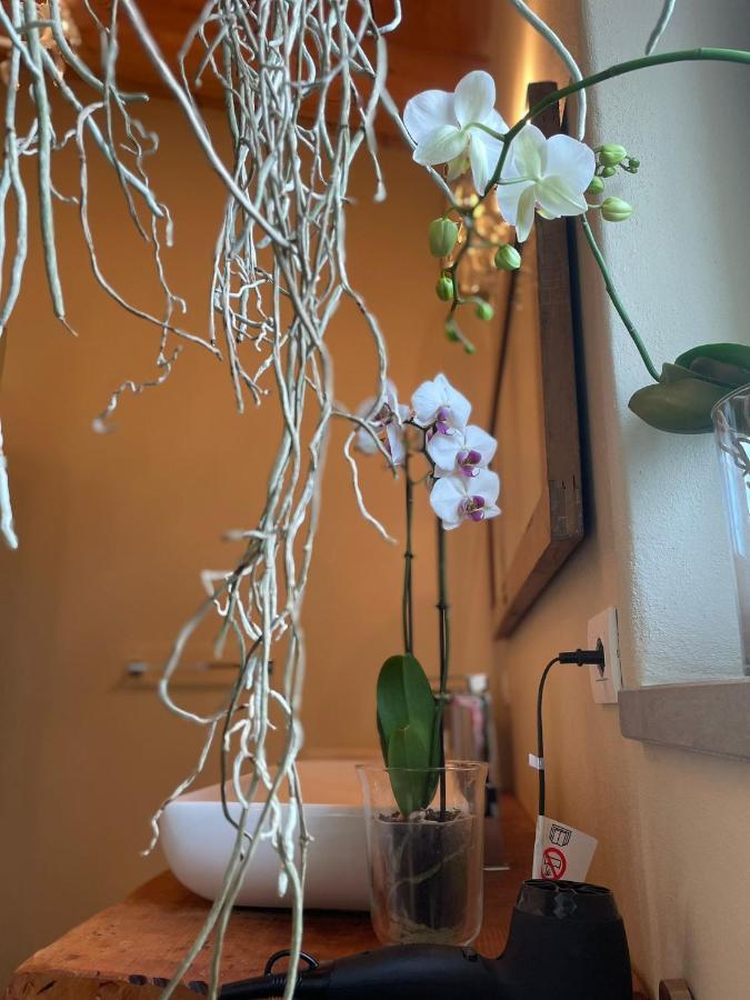 Beb Montefratta Bed & Breakfast Fratta Terme Luaran gambar