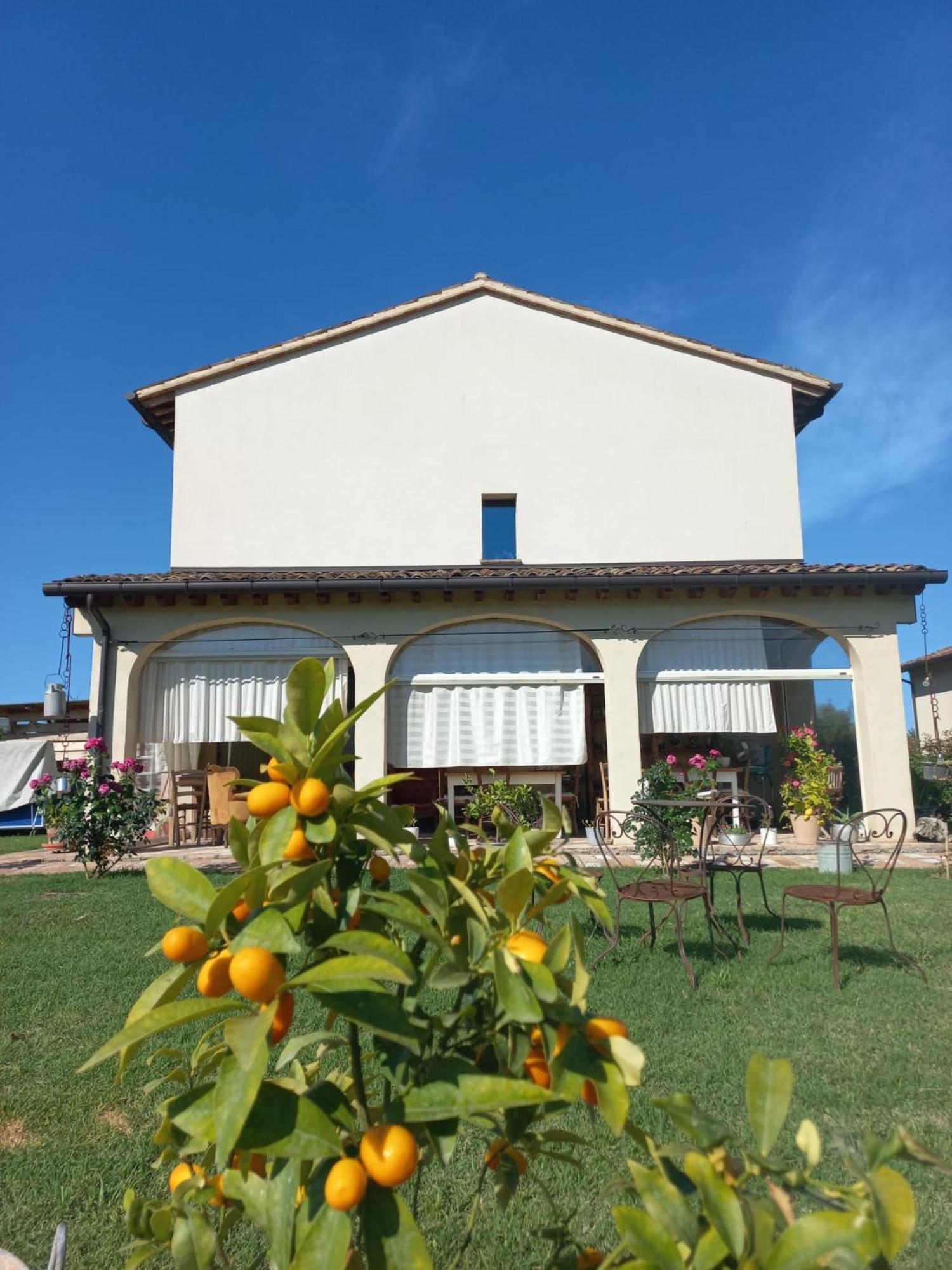 Beb Montefratta Bed & Breakfast Fratta Terme Luaran gambar