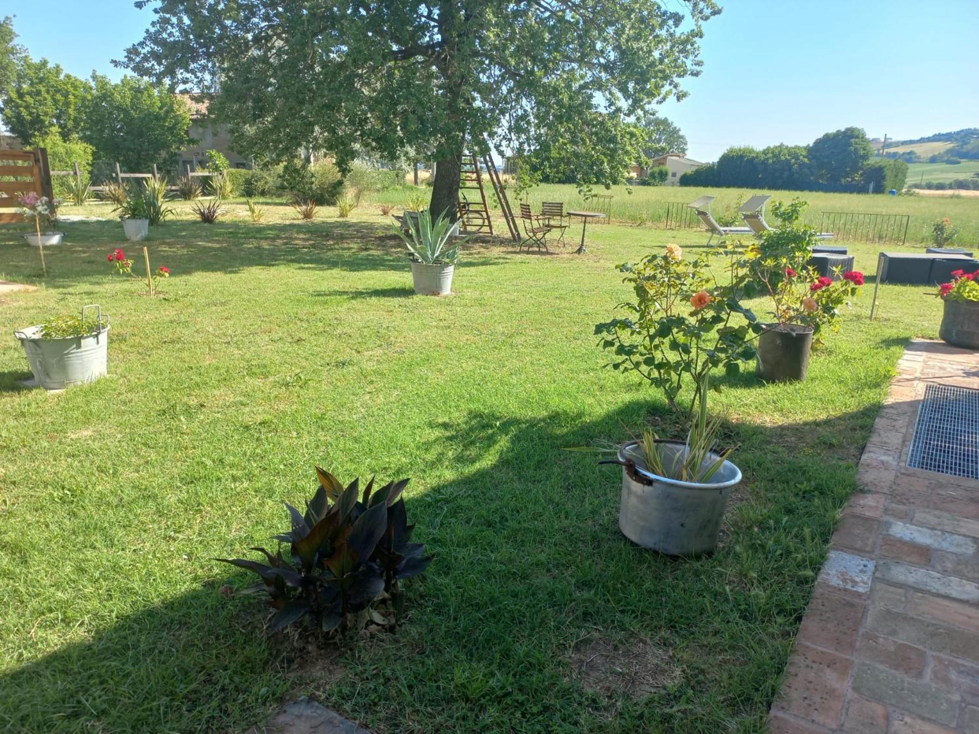 Beb Montefratta Bed & Breakfast Fratta Terme Luaran gambar
