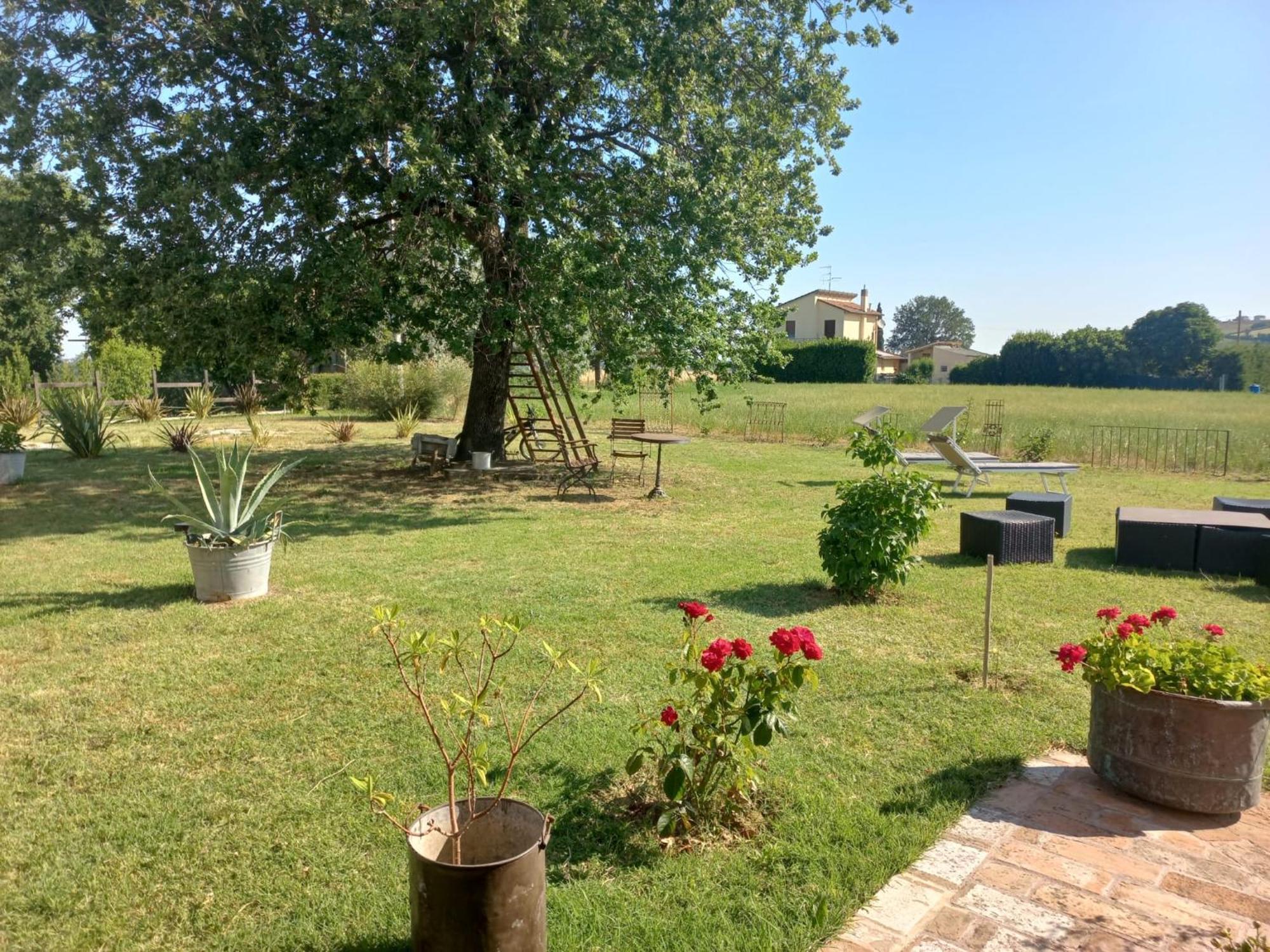 Beb Montefratta Bed & Breakfast Fratta Terme Luaran gambar